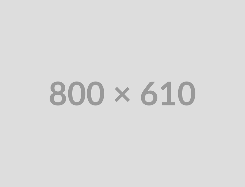 800