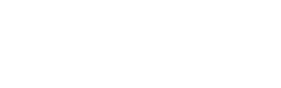 Logo Model