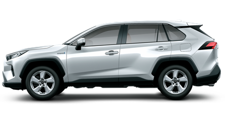 rav bonita pagina web.png